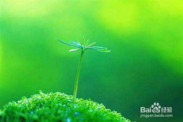 迷茫时重拾信心最好的8个办法