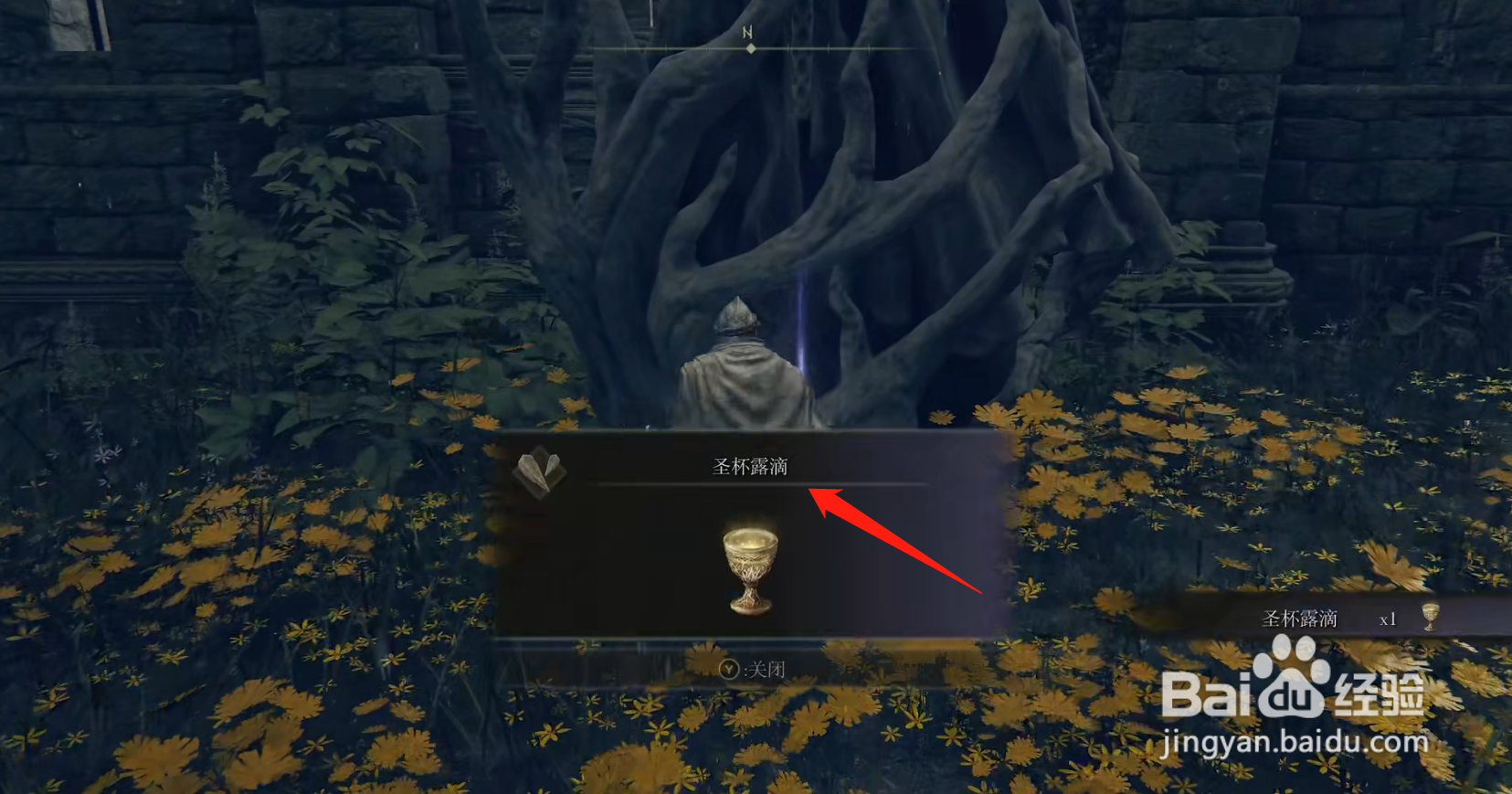 艾尔登法环圣杯滴露在哪获得