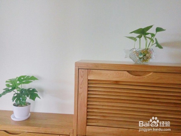 <b>#神器#创意透明玻璃花瓶，给家增添一抹绿</b>