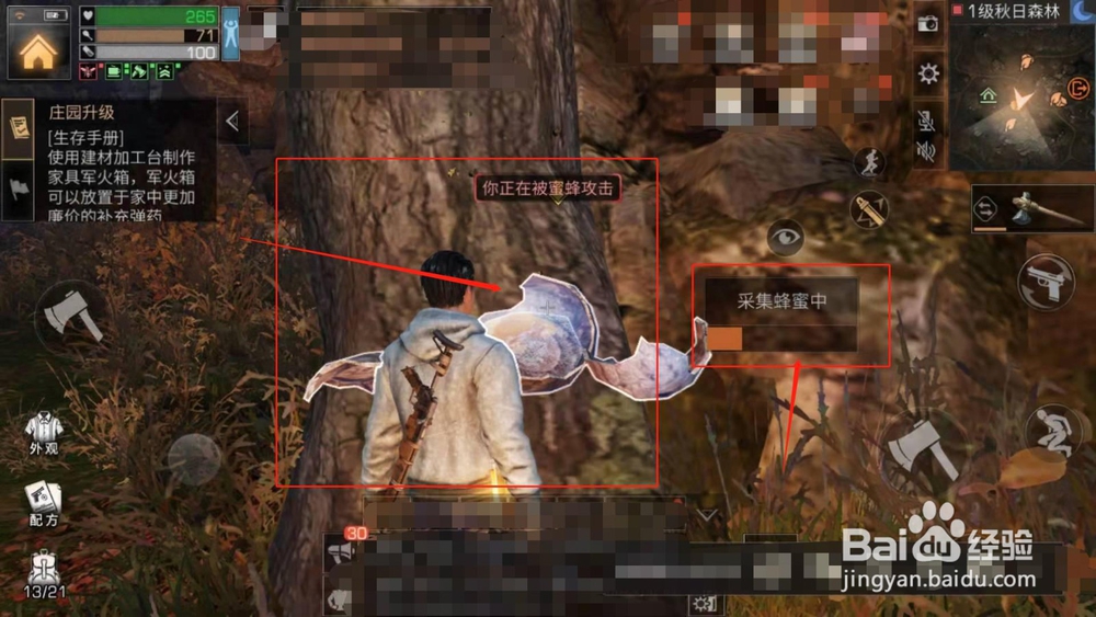 明日之后,如何获得蜂蜜