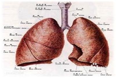 适合秋季养生食用的粥4