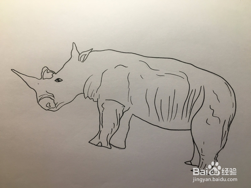 画一只犀牛 犀牛简笔画 幼儿绘画 儿童绘画