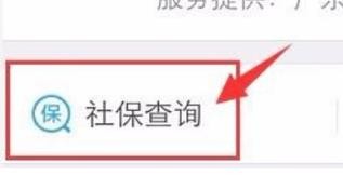 怎样查社保缴费明细