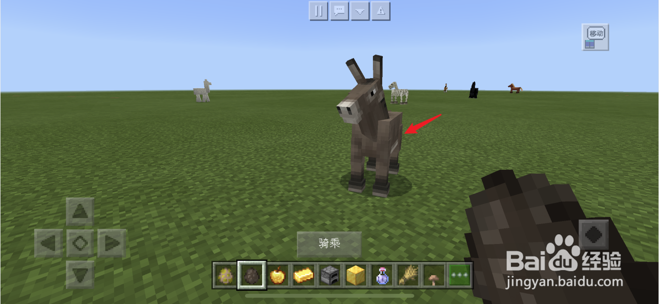 我的世界骡子怎么获得