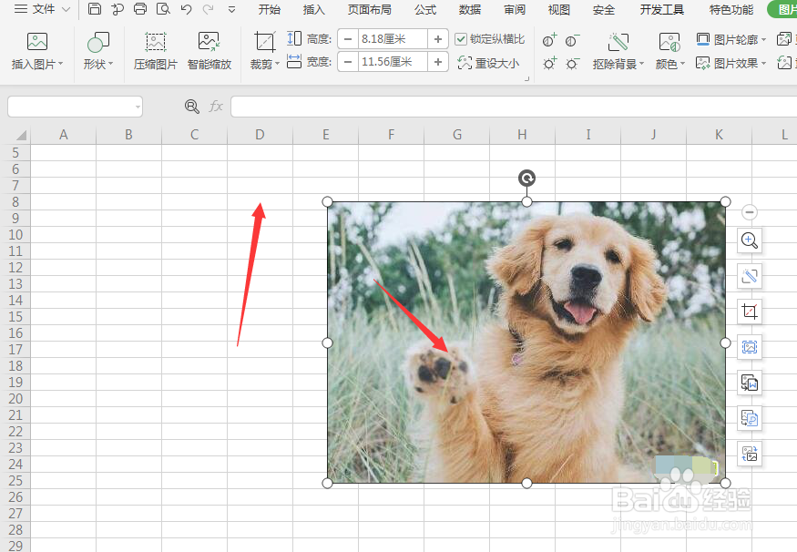 WPS表格中如何给图片添加倒影