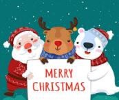 圣诞节送女朋友什么