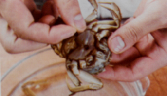 盛夏肥美时节——笼蒸螃蟹