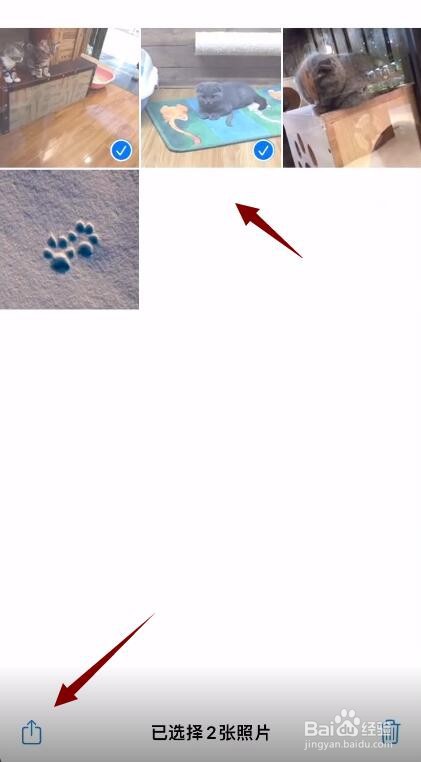 苹果手机四张照片如何合成一张照片