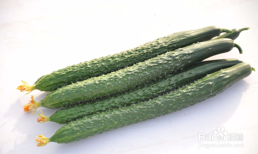 经常被忽视的黄瓜的好处