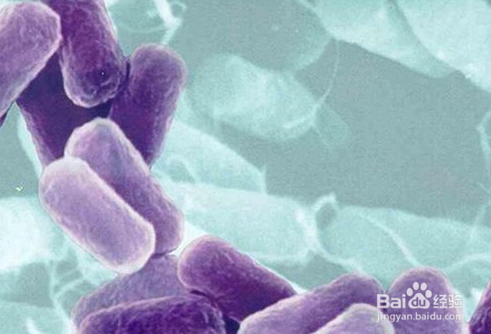 适量喝酒的好处？