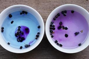 黑枸杞轻松鉴别水的酸碱性