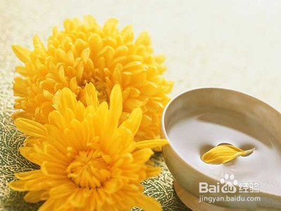 菊花麦冬茶的功效、喝法与挑选要点