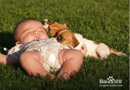 被宠物咬伤后的正确处理方式