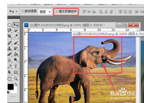 ps羽化工具怎么用?