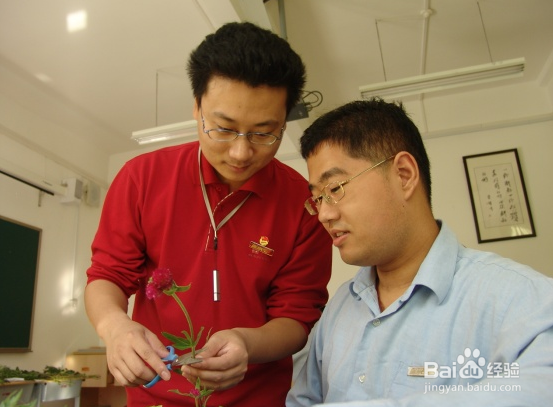 如何过好研究生生活?