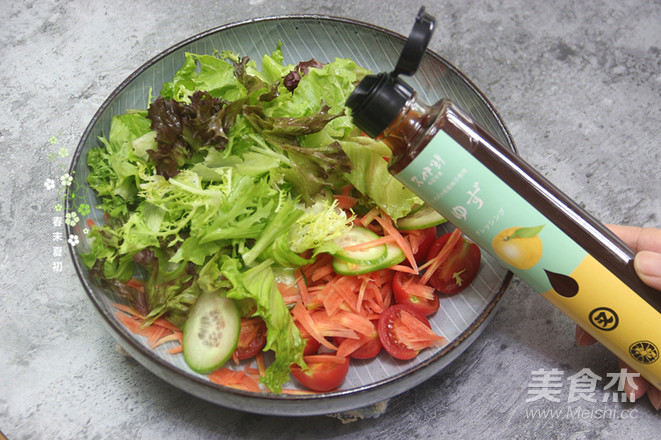 香煎鸡肉蔬菜沙拉