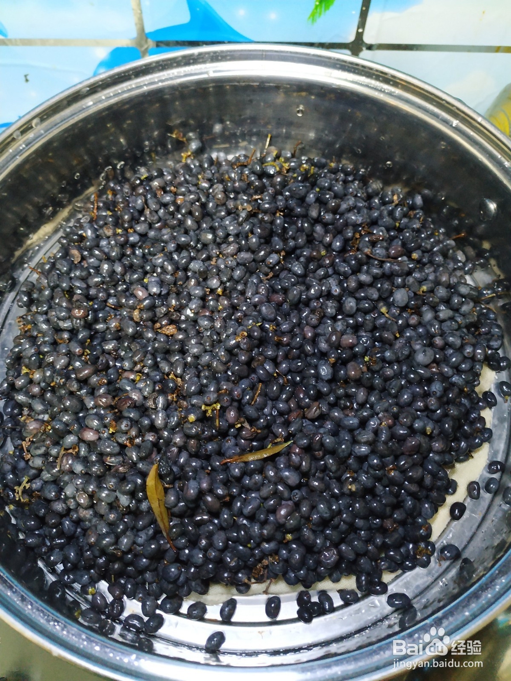 怎样自制女贞子茶？