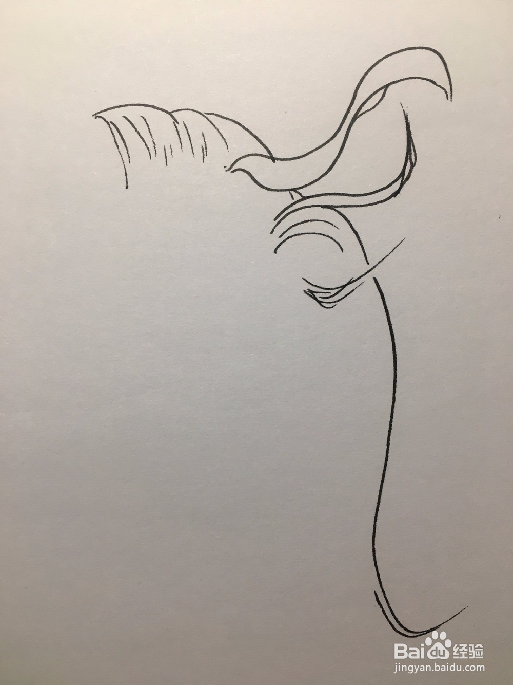 画一个头发稀少样貌奇丑的丑八怪 人物简笔画