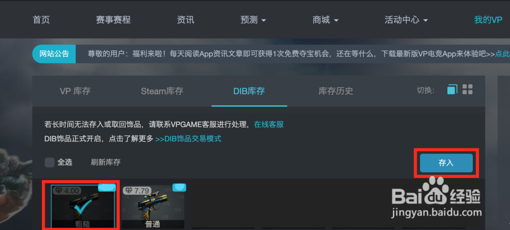 如何将DIB饰品存入VPgame