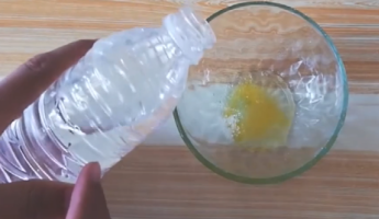 最简单的自制灭蝇药