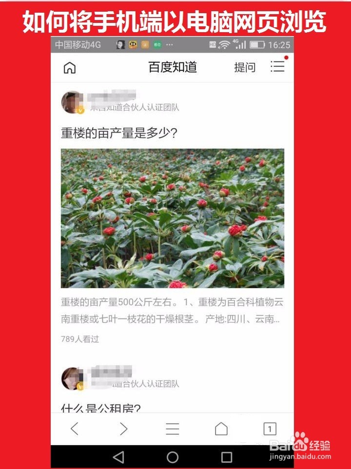 手机端以电脑页面形式浏览网页