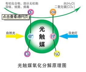 车内异味怎么除掉