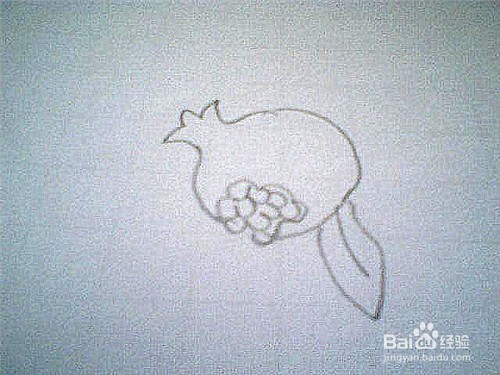 简笔画石榴的画法