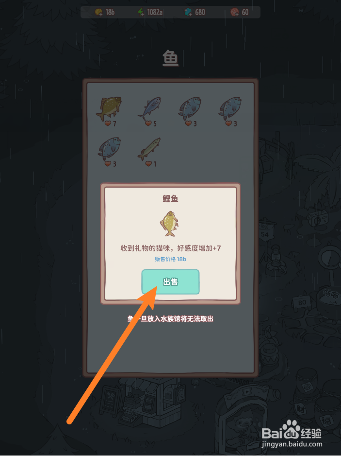 猫咪和汤如何售卖鲤鱼