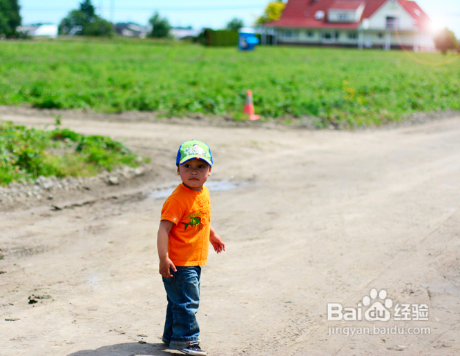 温哥华田园风情草莓采摘(组图)