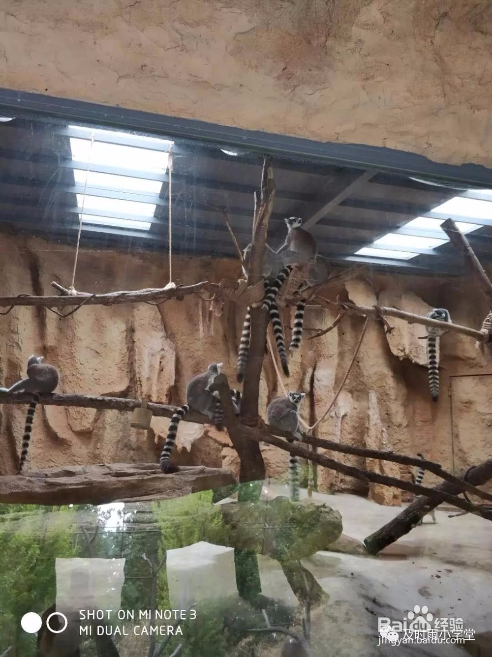 北京野生动物园一日游