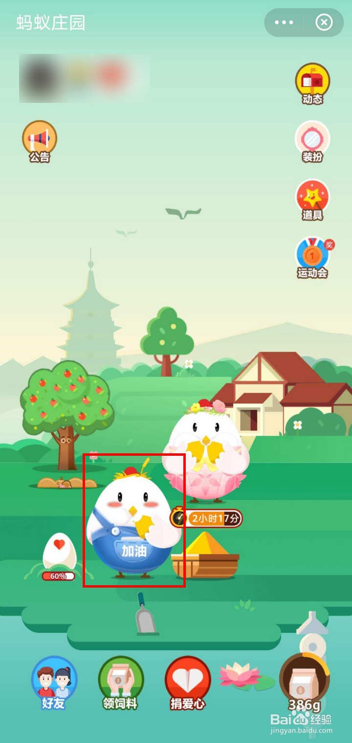 怎么解锁蚂蚁庄园雇佣小鸡的隐藏装扮