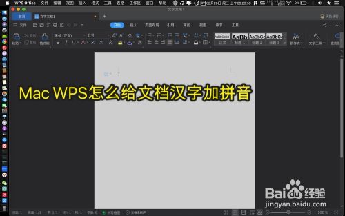 Mac Wps怎么给文档汉字加拼音 百度经验