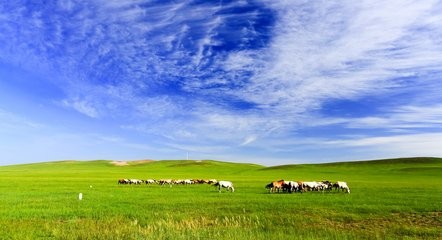 草原游如何游出草原特色