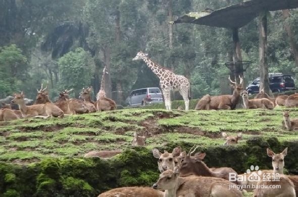 在节日期间旅行的小提示