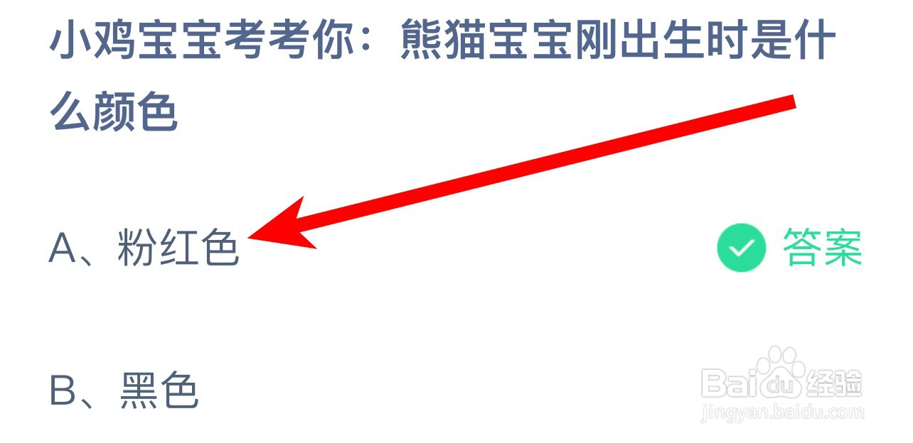 熊猫宝宝刚出生时是什么颜色蚂蚁庄园答案
