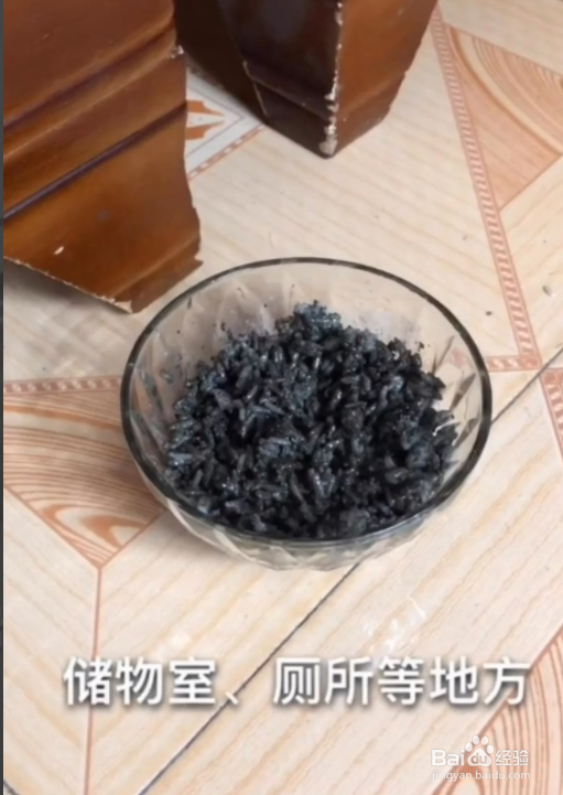 老鼠怎么灭的小妙招