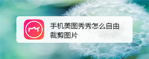 手机美图秀秀怎么自由裁剪图片