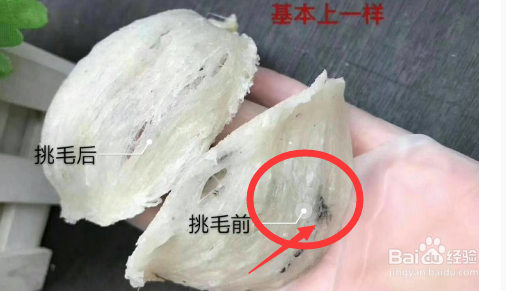 吃燕窝有什么禁忌 孕妇吃燕窝的禁忌