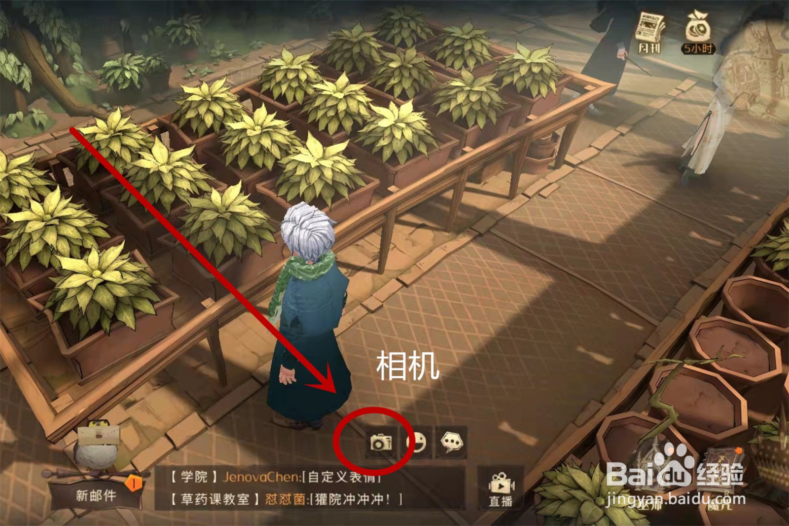 哈利波特魔法觉醒和隆巴顿教授合影任务怎么做
