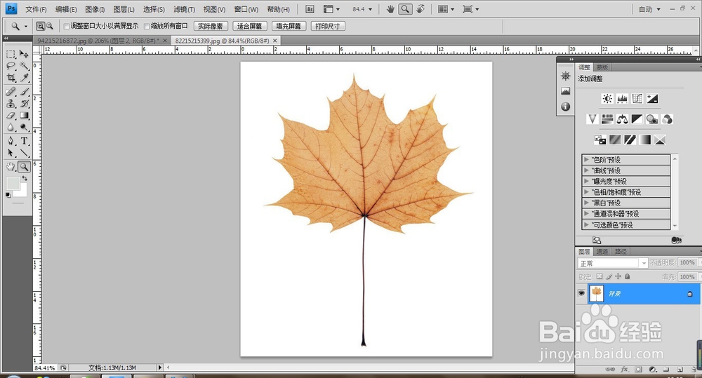 PS将枫叶与动漫融合
