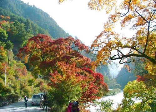 怎样安排米亚路之旅