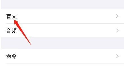 苹果手机旁白盲文输入中如何开启自动翻译？