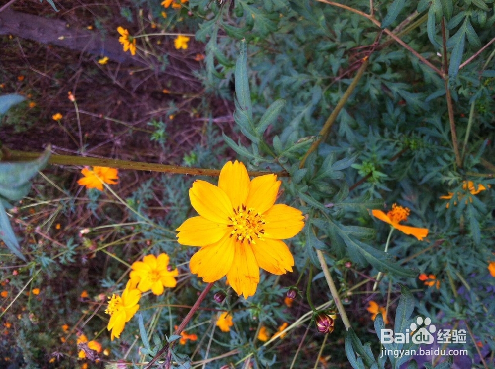 如何在冬季进行早锻炼，让心情愉悦