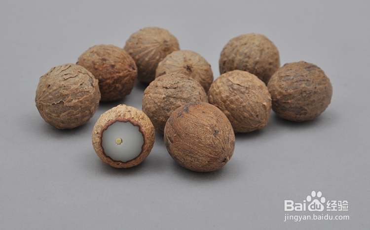 情缘菩提根，各种菩提根手串