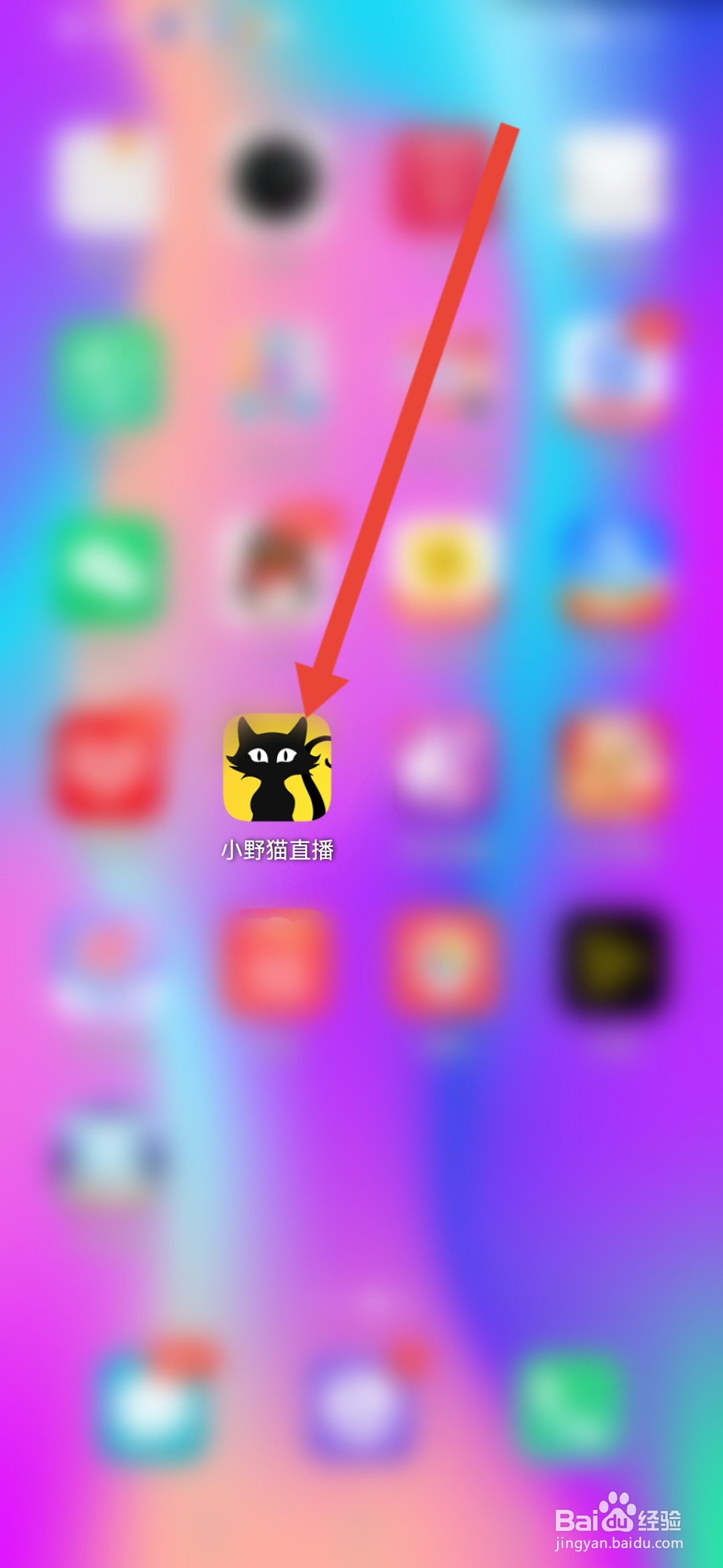 小野猫直播怎么申请成为认证主播