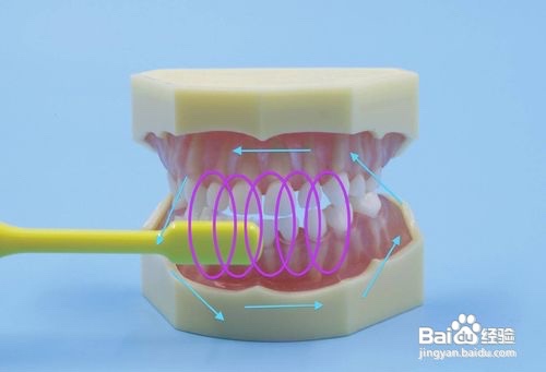 正确的刷牙方法