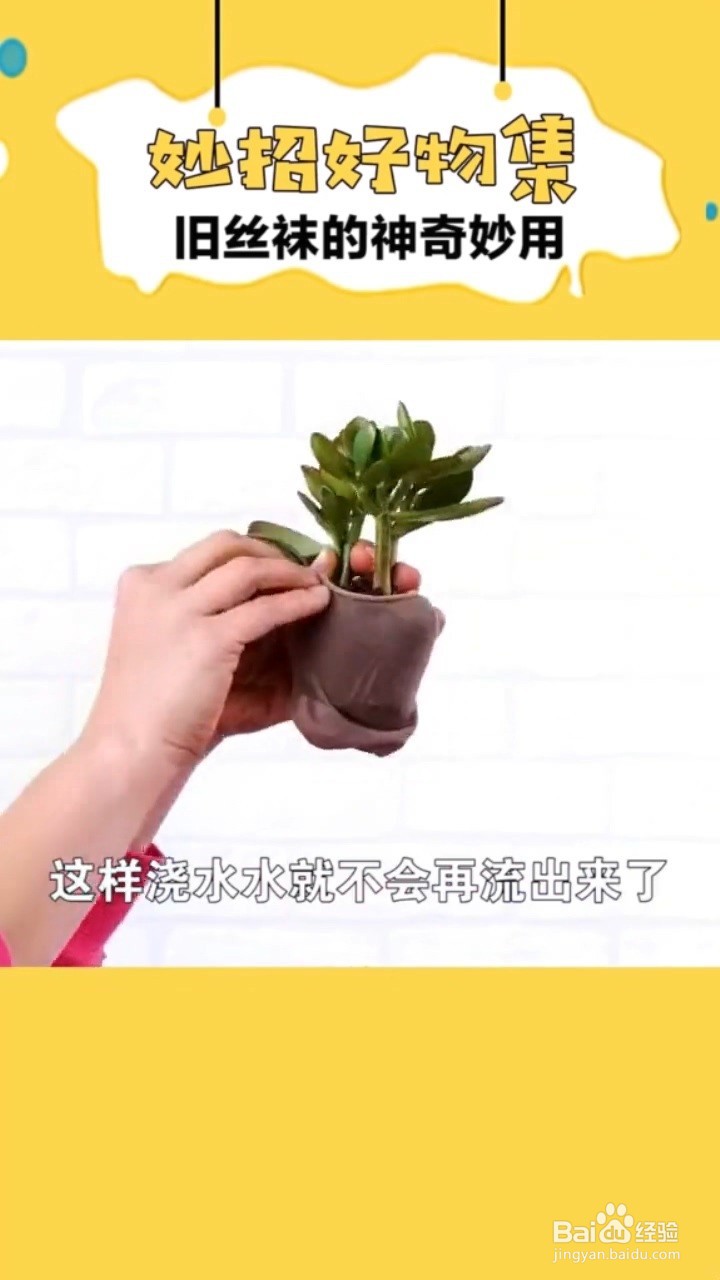 旧丝袜的神奇妙用