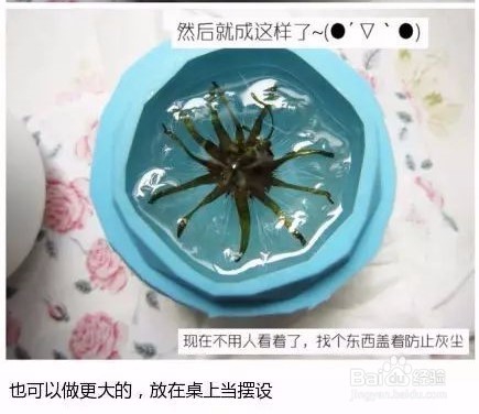 自己动手DIY一个蒲公英透明树脂，好漂亮！