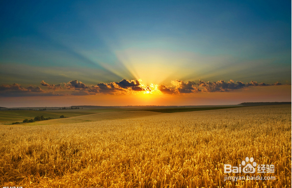 秋季要预防什么病