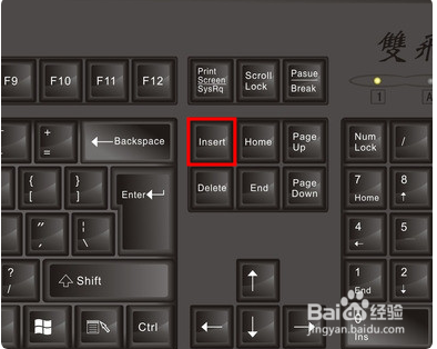 word输入的文字总是覆盖右侧的文字怎么办
